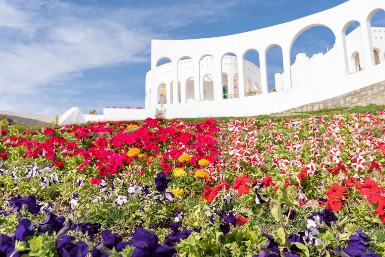 Benben By Dhara Hotels - Adults Only Ασουάν Εξωτερικό φωτογραφία The Flower Festival in the city of Akita